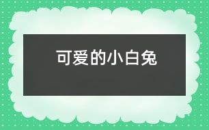 可愛的小白兔