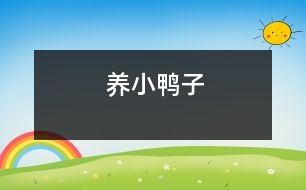 養(yǎng)小鴨子