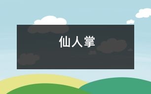 仙人掌