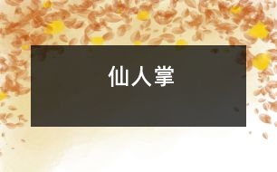 仙人掌