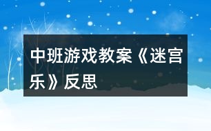 中班游戲教案《迷宮樂》反思