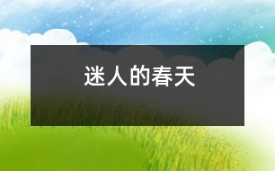 迷人的春天