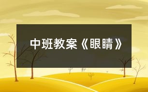 中班教案《眼睛》