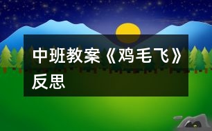 中班教案《雞毛飛》反思