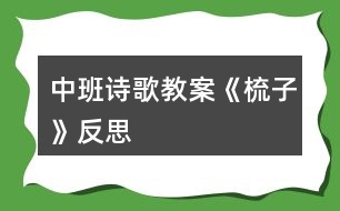 中班詩(shī)歌教案《梳子》反思