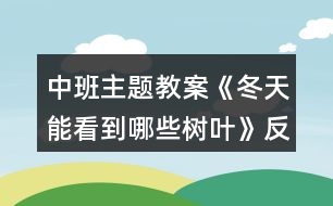 中班主題教案《冬天能看到哪些樹(shù)葉》反思