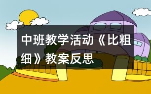 中班教學活動《比粗細》教案反思