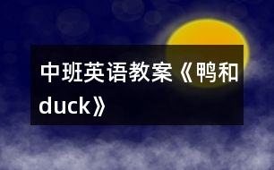 中班英語教案《鴨和duck》