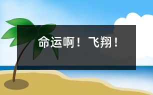 命運(yùn)??！飛翔！