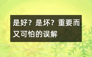 是好？是壞？——重要而又可怕的誤解