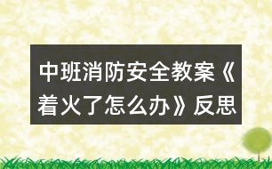 中班消防安全教案《著火了怎么辦》反思