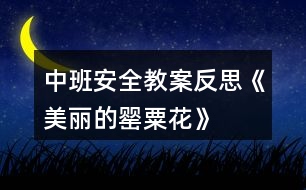 中班安全教案反思《美麗的罌粟花》