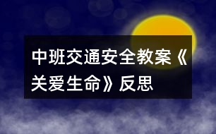 中班交通安全教案《關愛生命》反思