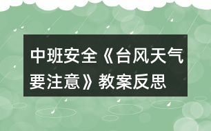 中班安全《臺(tái)風(fēng)天氣要注意》教案反思