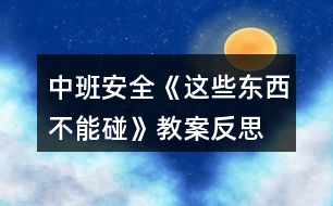 中班安全《這些東西不能碰》教案反思