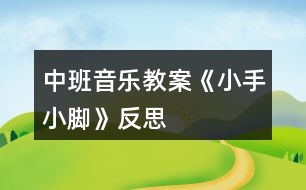 中班音樂教案《小手小腳》反思