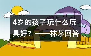 4歲的孩子玩什么玩具好？――林茅回答