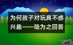 為何孩子對玩具不感興趣――陸為之回答