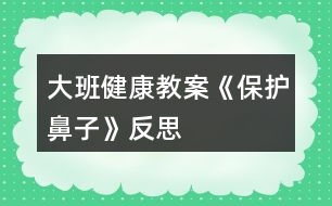 大班健康教案《保護鼻子》反思