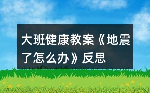 大班健康教案《地震了怎么辦》反思