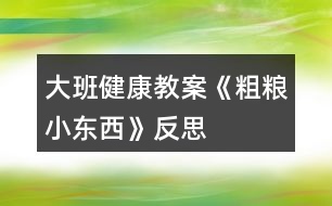 大班健康教案《粗糧小東西》反思