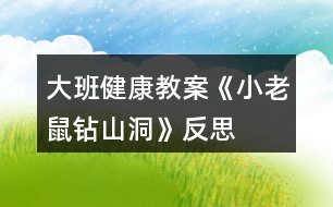 大班健康教案《小老鼠鉆山洞》反思