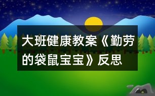 大班健康教案《勤勞的袋鼠寶寶》反思