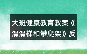 大班健康教育教案《滑滑梯和攀爬架》反思