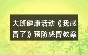 大班健康活動《我感冒了》預(yù)防感冒教案反思