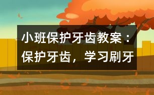 小班保護(hù)牙齒教案 :保護(hù)牙齒，學(xué)習(xí)刷牙