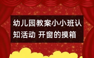 幼兒園教案小小班認(rèn)知活動 開窗的摸箱