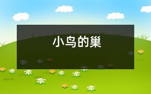 小鳥(niǎo)的巢