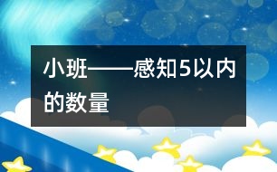 小班――感知5以內的數量