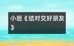 小班《結(jié)對(duì)交好朋友》