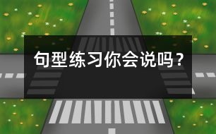 句型練習(xí)“你會說嗎？”