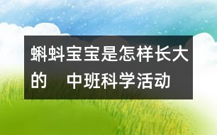 蝌蚪寶寶是怎樣長大的?。ㄖ邪嗫茖W活動）