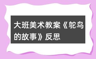 大班美術教案《鴕鳥的故事》反思