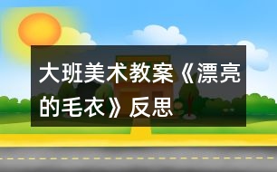 大班美術教案《漂亮的毛衣》反思