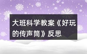 大班科學教案《好玩的傳聲筒》反思