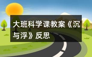 大班科學課教案《沉與浮》反思