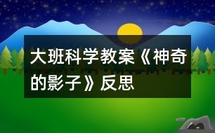 大班科學(xué)教案《神奇的影子》反思