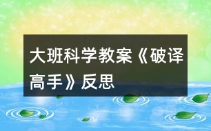 大班科學教案《破譯高手》反思