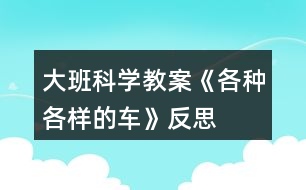 大班科學(xué)教案《各種各樣的車》反思