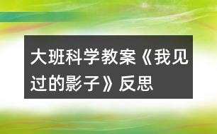 大班科學(xué)教案《我見(jiàn)過(guò)的影子》反思