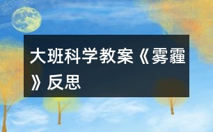 大班科學(xué)教案《霧霾》反思