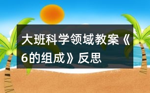 大班科學領域教案《6的組成》反思