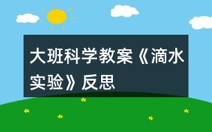 大班科學(xué)教案《滴水實驗》反思