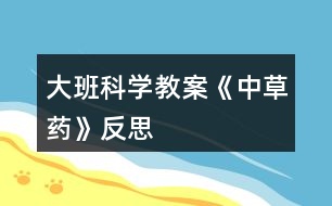 大班科學教案《中草藥》反思