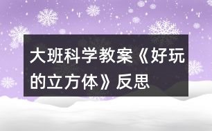 大班科學(xué)教案《好玩的立方體》反思