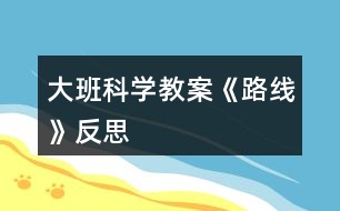 大班科學(xué)教案《路線》反思